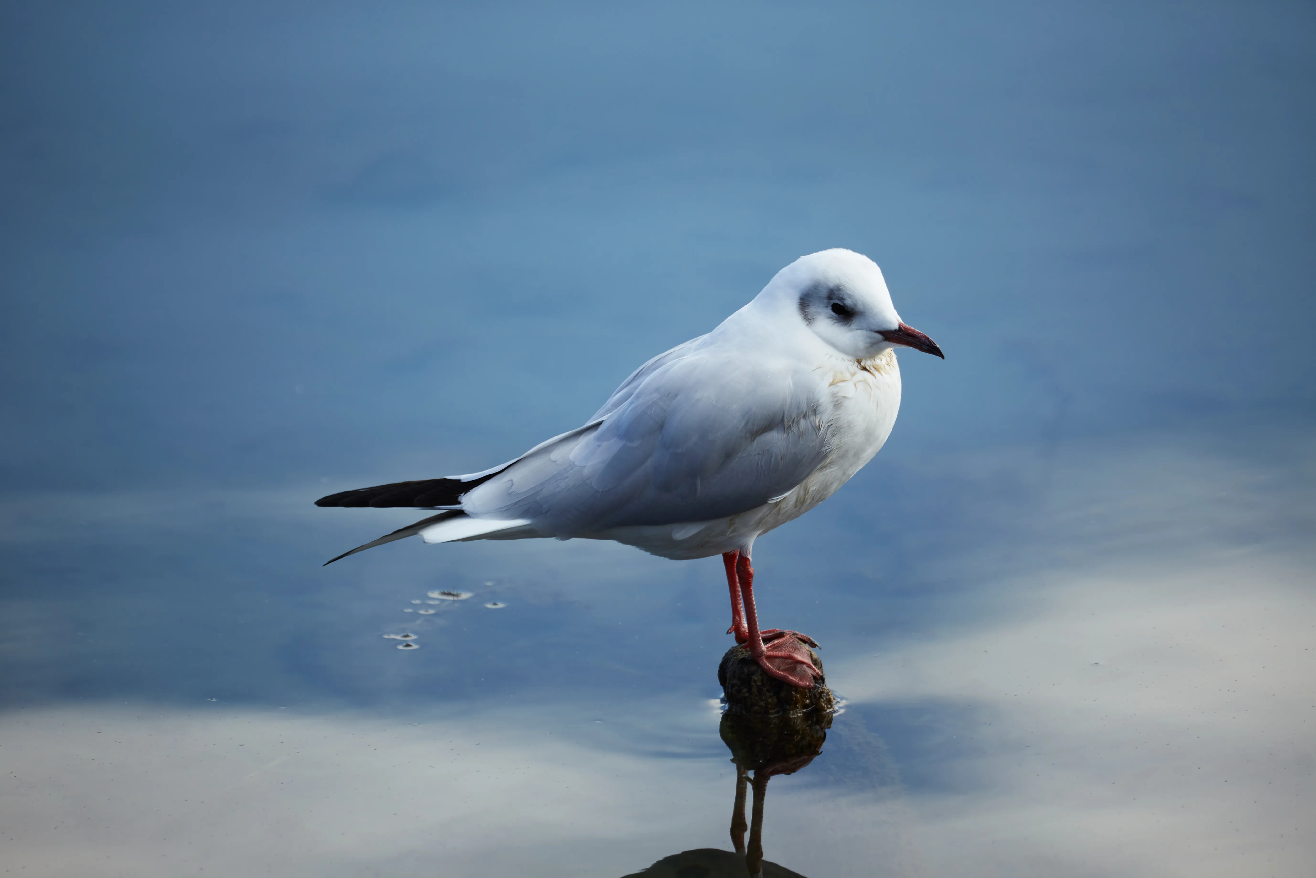 宁蒗·泸沽湖